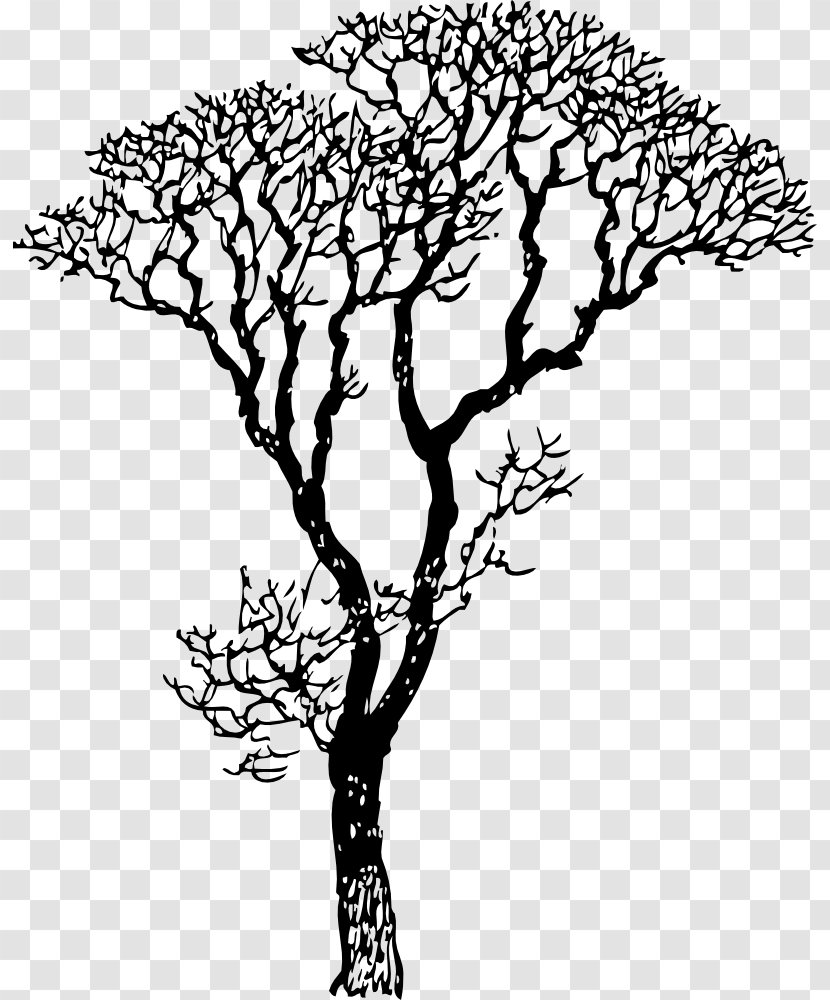 Wall Decal Sticker Tree - Love Transparent PNG