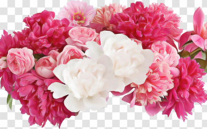 Flower Pink Cut Flowers Petal Plant Transparent PNG