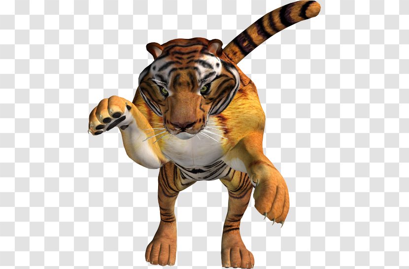 Tiger Lion Leopard - Carnivoran Transparent PNG