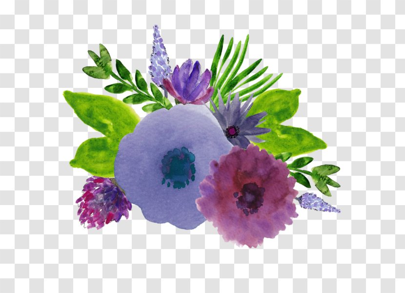 Flower Watercolor Painting Drawing Purple - Garden Roses - Flowers Transparent PNG