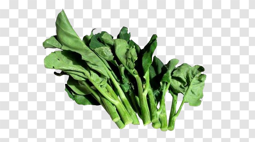Chinese Broccoli Vegetable Kohlrabi Cauliflower Hot Pot - Blanching - Green Kale Leaves Transparent PNG