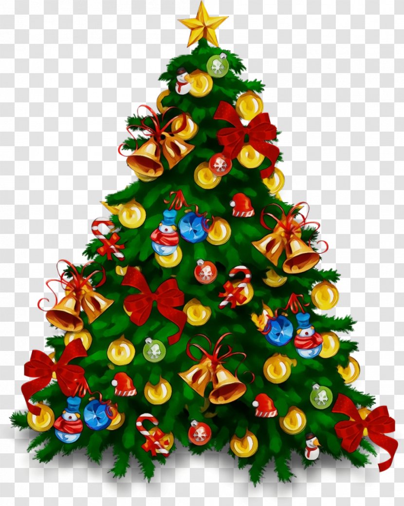 Christmas Tree - Pine Spruce Transparent PNG