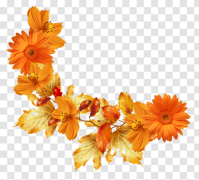 Autumn Leaf Color Flower Picture Frames Clip Art - Branch - Orange Flowers Transparent PNG