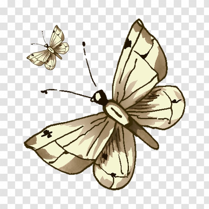 Butterfly Cartoon Illustration - Pieridae - Grey Transparent PNG