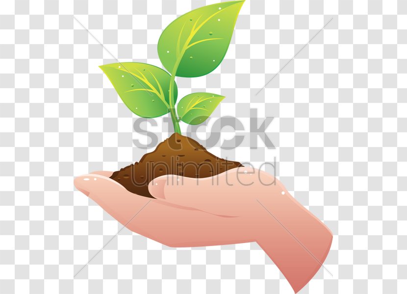 Plant Hand Soil Clip Art - Horizon - Holding Hands Transparent PNG