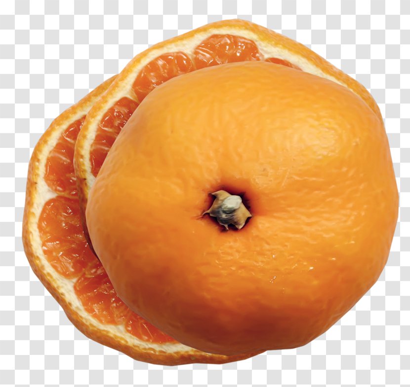 Clementine Mandarin Orange Tangerine Fruit Blood Transparent PNG