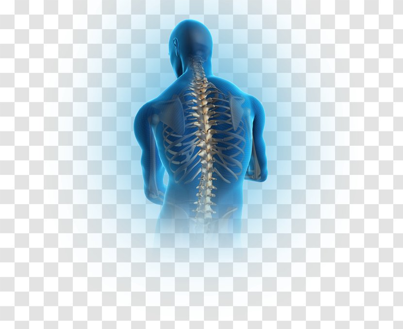 Pain In Spine Spinal Disc Herniation Vertebral Column Human Back Low - Scoliosis Transparent PNG