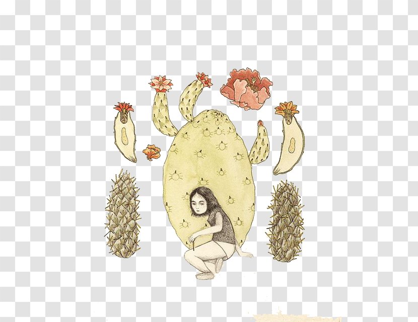 Cartoon Drawing Illustration - Illustrator - Cactus Transparent PNG