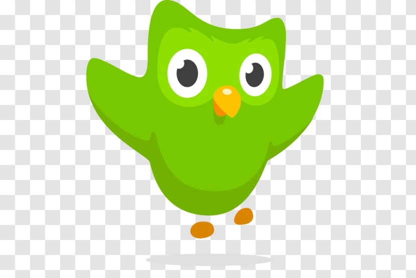 Duolingo Owl Learning Language Acquisition - Plant Transparent PNG