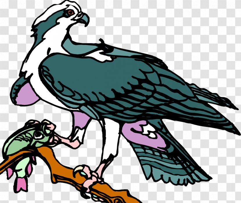 Bird Of Prey Beak Art - Museum - Vulture Transparent PNG