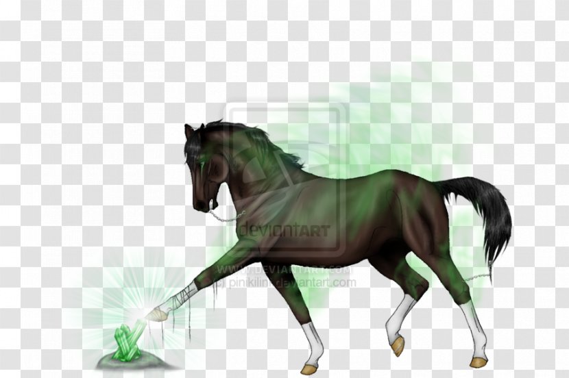 Stallion Mustang Foal Rein Mare - Saddle Transparent PNG