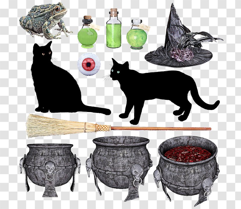 Cat Black Small To Medium-sized Cats Schipperke Table - Korat - Games Transparent PNG