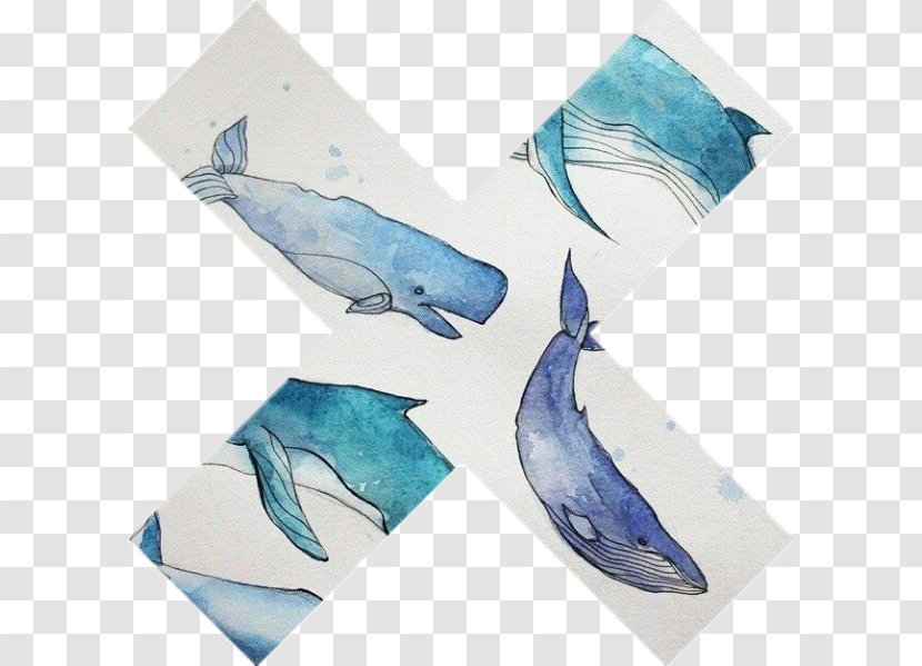 Dolphin Cetacea PicsArt Photo Studio Sticker Microsoft Azure - Fauna Transparent PNG