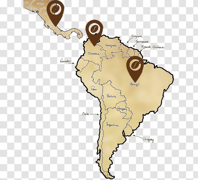 South America United States World Map Blank - Organism Transparent PNG