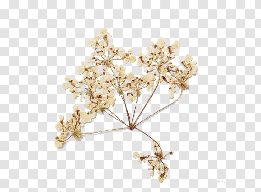 Flower Bouquet Drought - Hair Accessory - Yellow Dried Flowers Transparent PNG