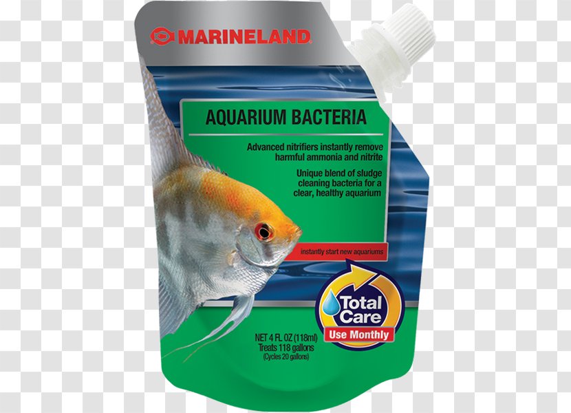 Marineland Aquarium Filters Bacteria Fish - Fast Food Rubbish Transparent PNG