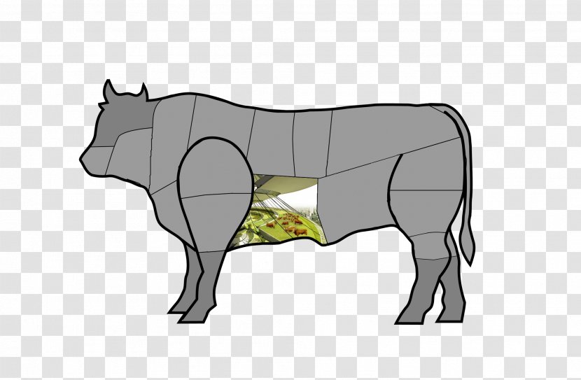 Cattle Bistecca Alla Fiorentina Meat Barbecue Steak - Horse Like Mammal Transparent PNG