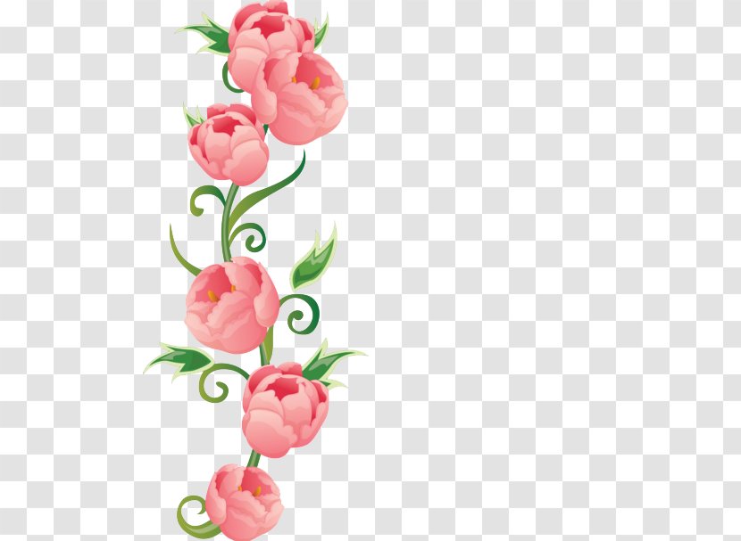 Flower Rose Euclidean Vector Color - Pink Flowers - Roses Transparent PNG