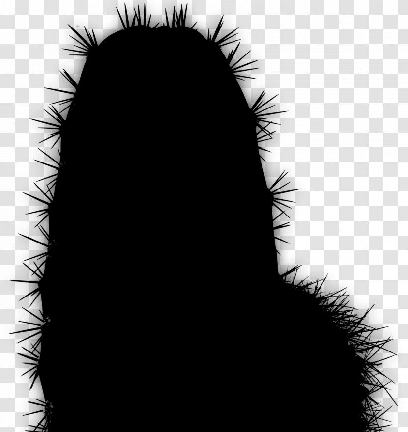 Desktop Wallpaper Computer Fur Silhouette Font - Thorns Spines And Prickles - Black Hair Transparent PNG
