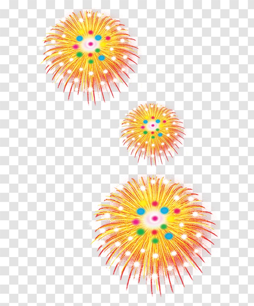 Fireworks Graphic Design Firecracker - Flower Transparent PNG
