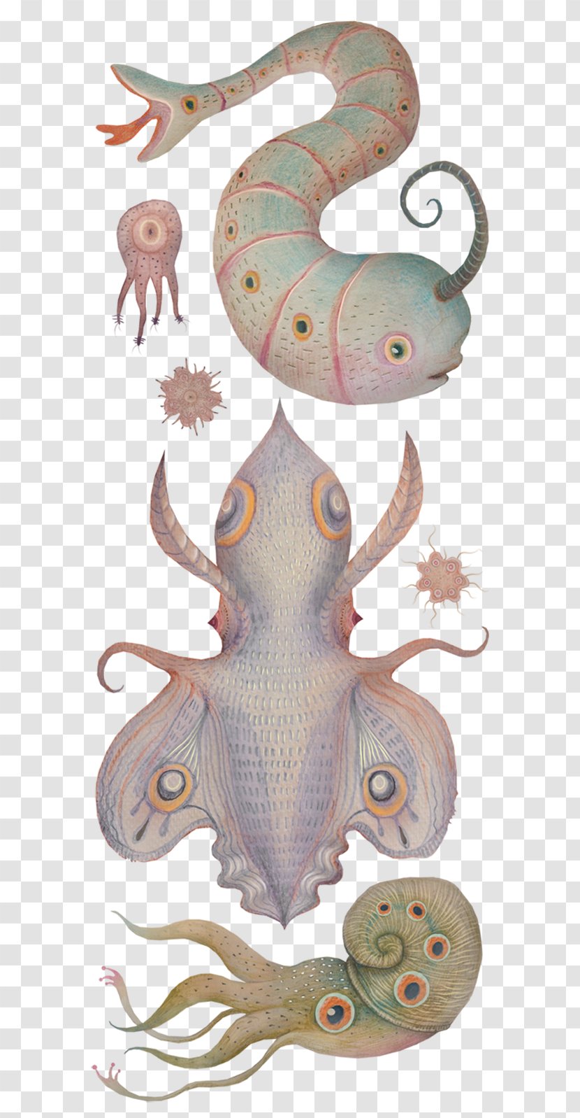 Octopus Squid Cephalopod Narwhal - Nature Sea Animals Marine Microorganisms Transparent PNG