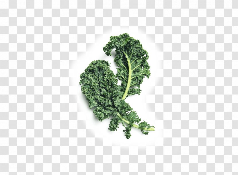Smoothie Lacinato Kale Cabbage Cauliflower Leaf Vegetable - Rapini Transparent PNG