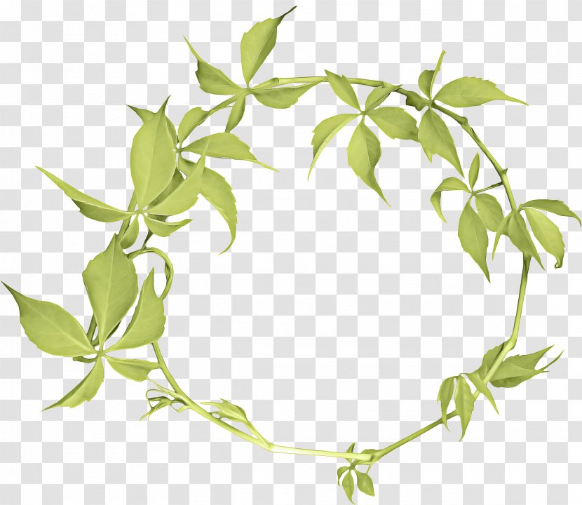 Christmas Wreath Drawing - Ivy - Family Transparent PNG