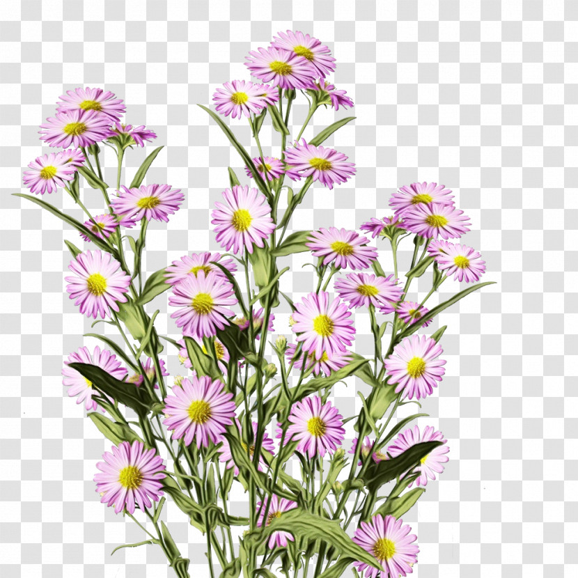 Floral Design Transparent PNG