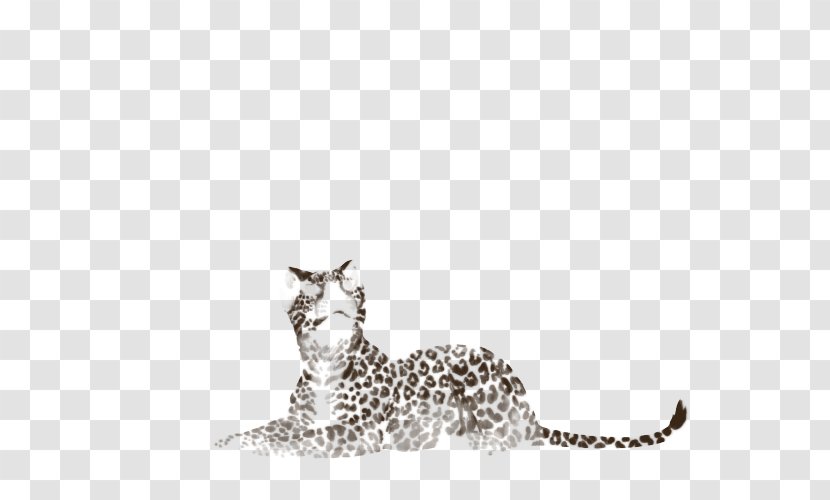 Whiskers Cat Puma Terrestrial Animal White - Big Transparent PNG