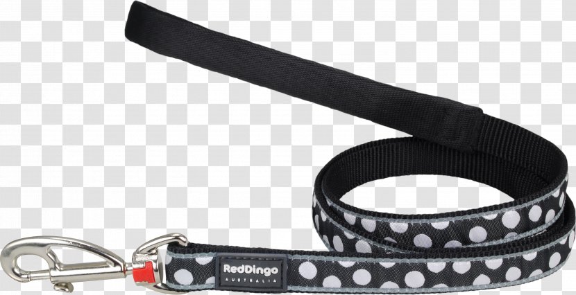 Dingo Cat Leash Rhodesian Ridgeback Pet - Collar Transparent PNG