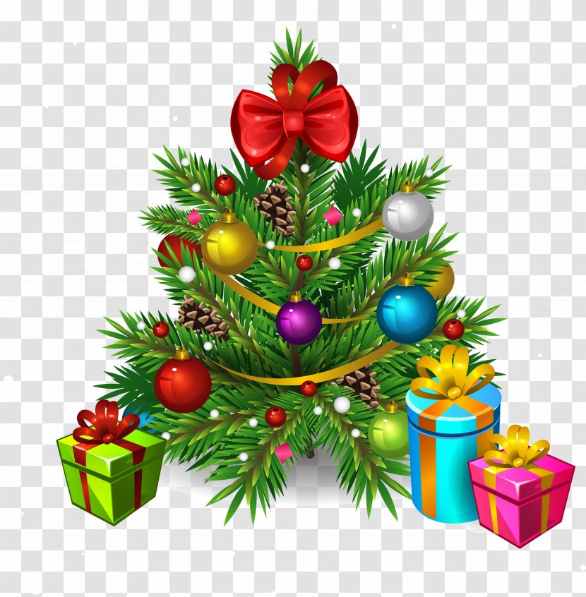 Christmas Tree Drawing Gift - Pine Family Transparent PNG