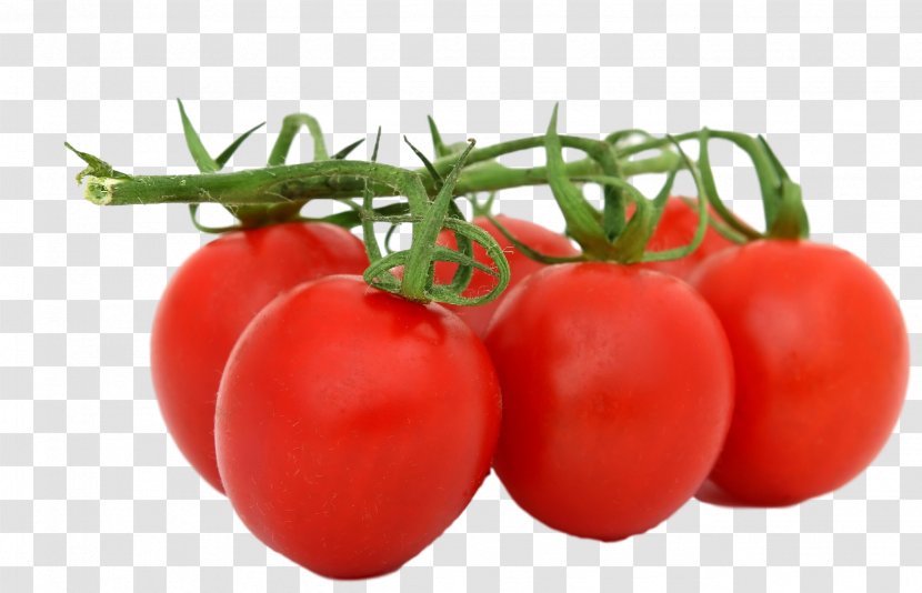 Plum Tomato Organic Food Bush Refried Beans - Cherry Transparent PNG