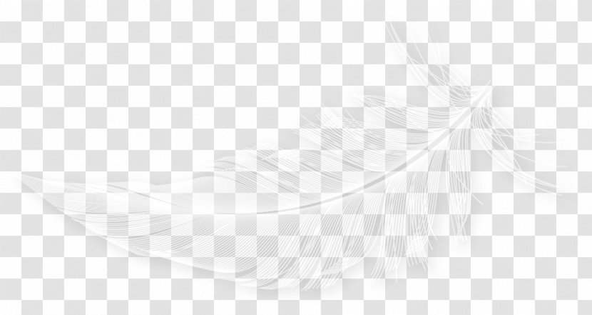White Feather Line - Wing Transparent PNG