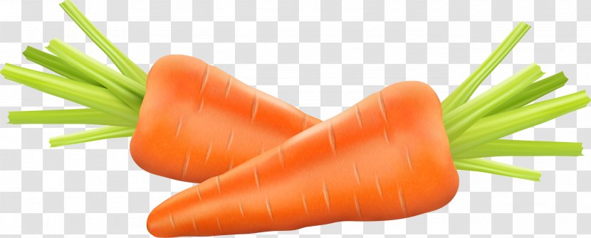 Carrot Photography Euclidean Vector Clip Art - Vegetable Transparent PNG