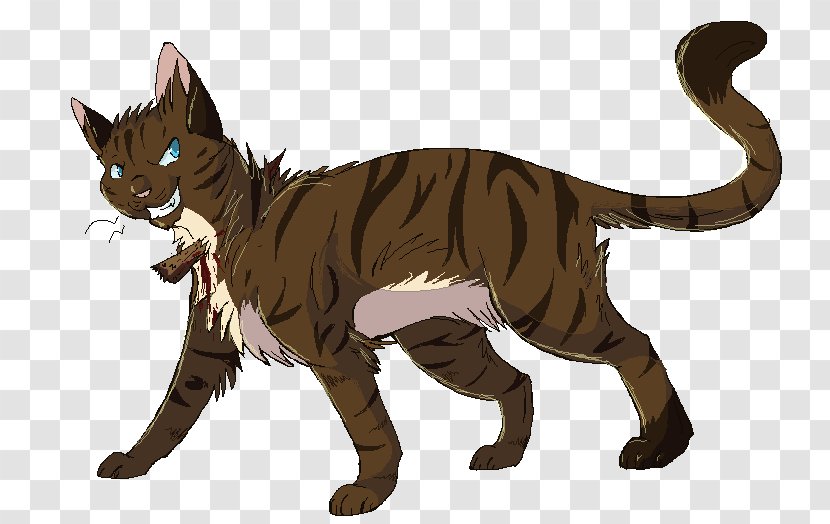 Toyger Sokoke Whiskers Kitten Warriors Transparent PNG