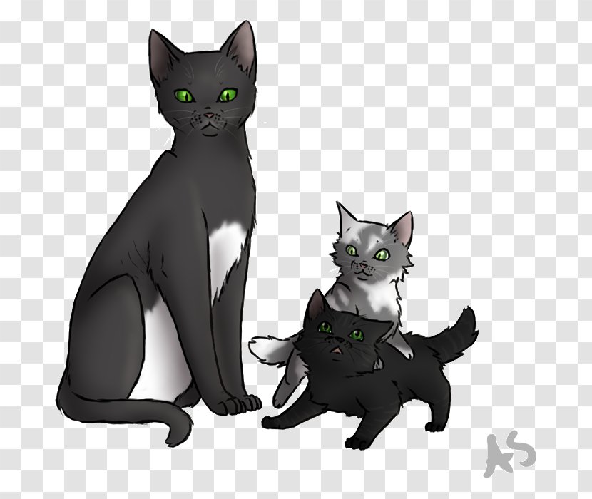 Korat Kitten Warriors Firestar Dovewing Transparent PNG