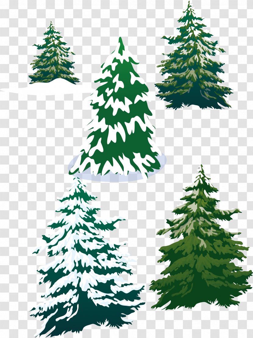 Vector Snowy Pine Trees - Pinus Thunbergii - Christmas Transparent PNG
