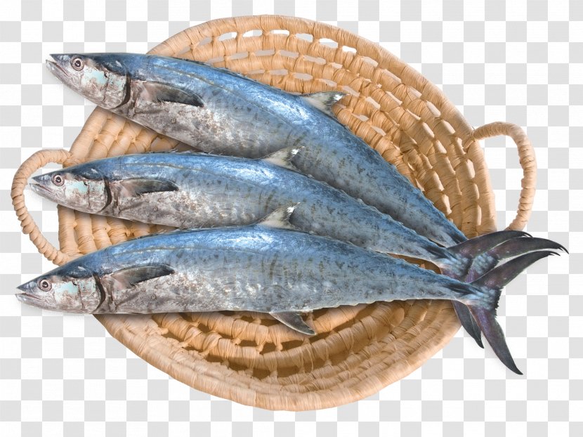 Saudi Arabia Bahrain Fisheries Narrow-barred Spanish Mackerel - Kipper - Seafood Transparent PNG