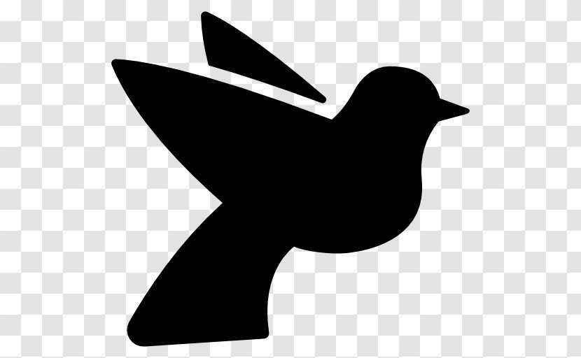 Columbidae Bird Domestic Pigeon Healy Chapel Clip Art Transparent PNG