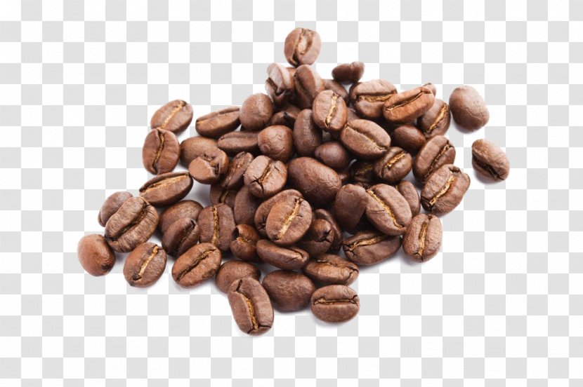 Jamaican Blue Mountain Coffee Espresso Seed Drink - Commodity Transparent PNG