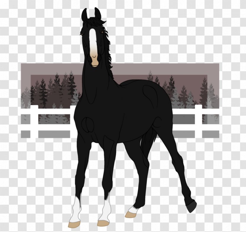 Stallion Foal Mare Mustang Halter - Silhouette - Grown Ups Transparent PNG