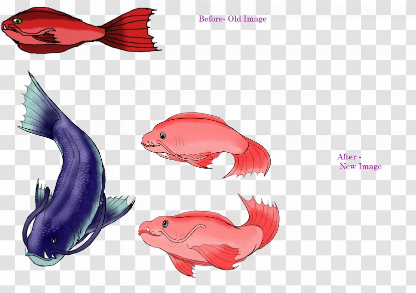 Marine Mammal Pink M Fish - Benthic Animals Transparent PNG