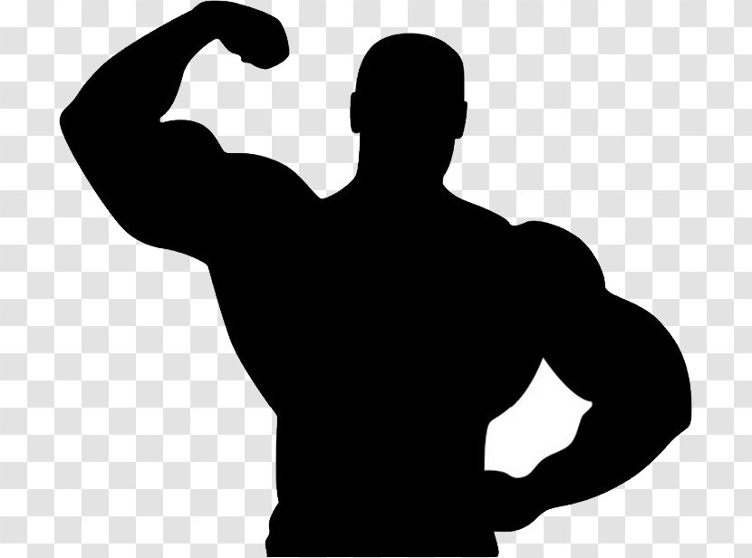 Fitness Centre Bodybuilding Silhouette - Human Body Transparent PNG