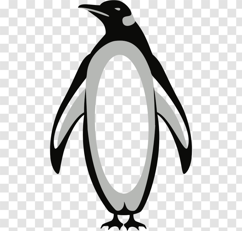 Penguin Bird Clip Art - Wing - Mascot Logo Transparent PNG