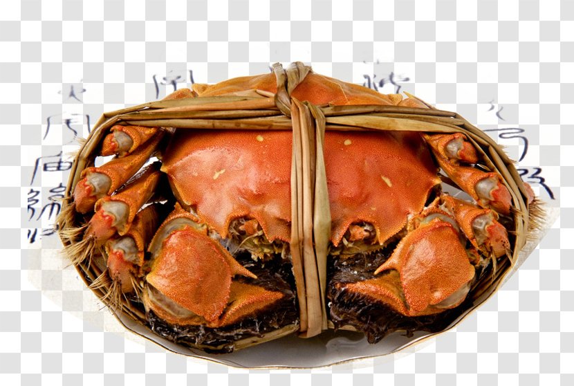 Giant Mud Crab Eating Autumn Food - A Transparent PNG