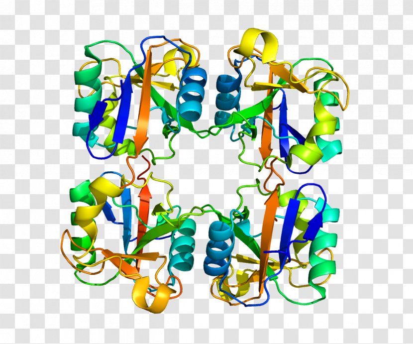 Langerin Protein C-type Lectin Langerhans Cell - Body Jewelry Transparent PNG