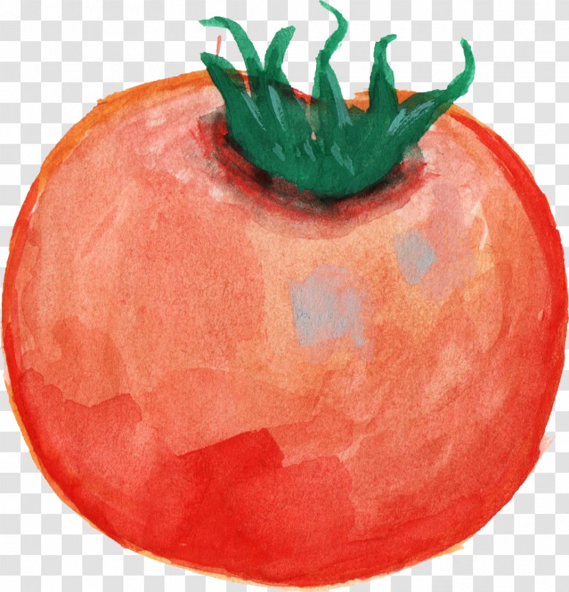 Tomato Vegetable Food Watercolor Painting - Natural Foods Transparent PNG