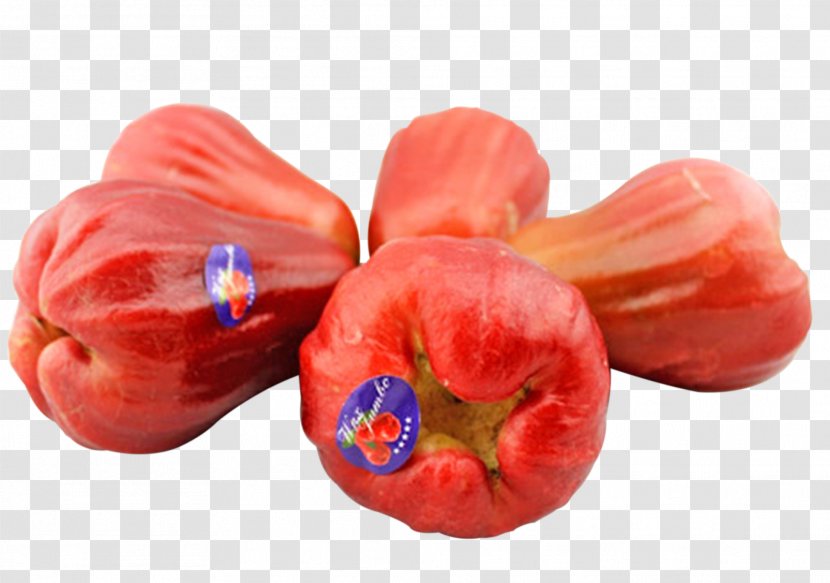 Java Apple - Syzygium Samarangense - KINGBOX Wax Imports Transparent PNG