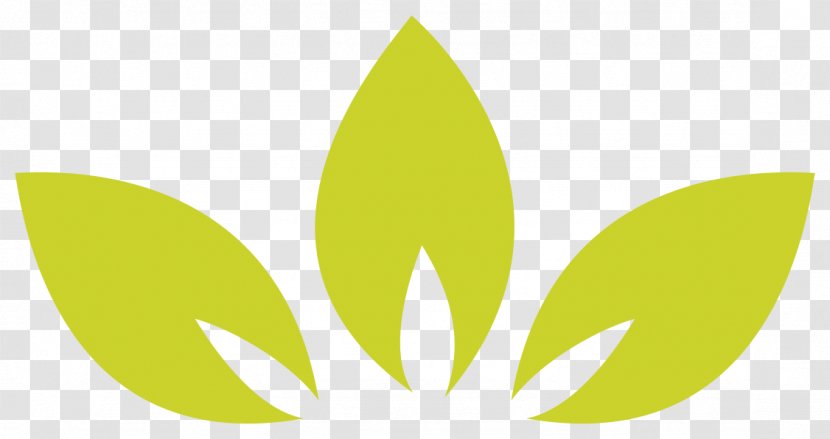 Logo Leaf Font Commodity - Plant Transparent PNG