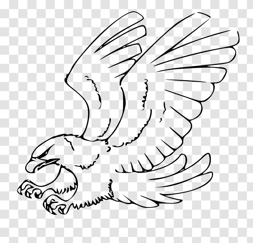 Drawing Bald Eagle Sketch - Art Transparent PNG